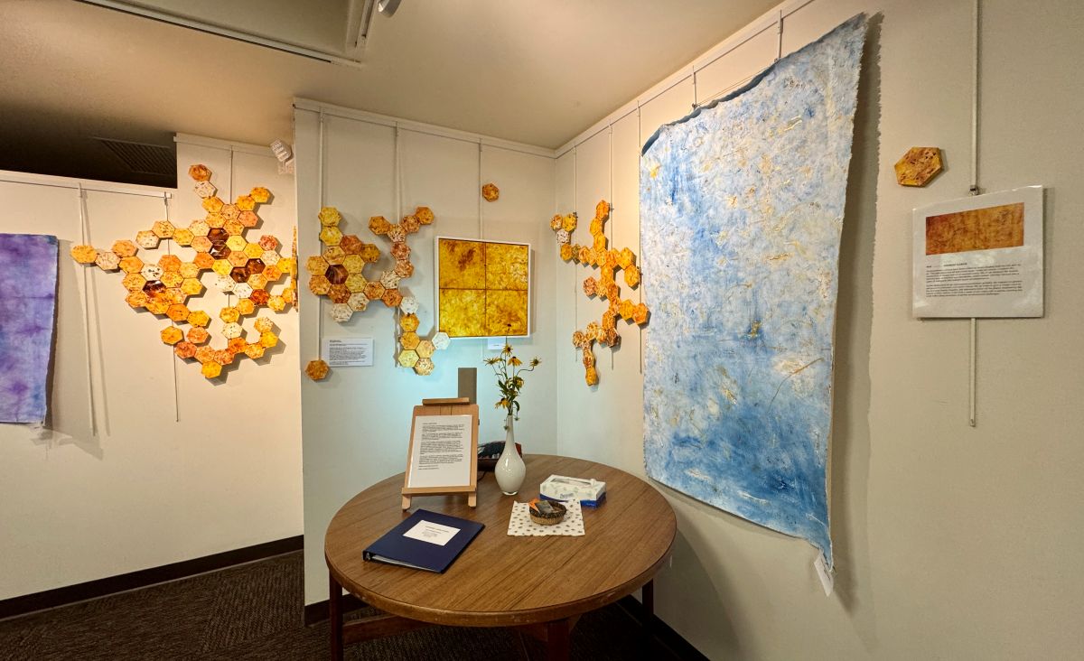 paintings and artwork from beeswax at exhibition